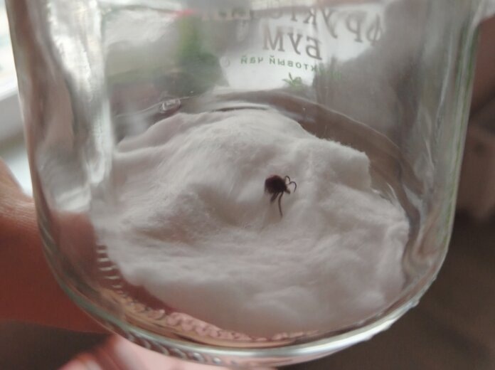    Фото: Полина Анкушина