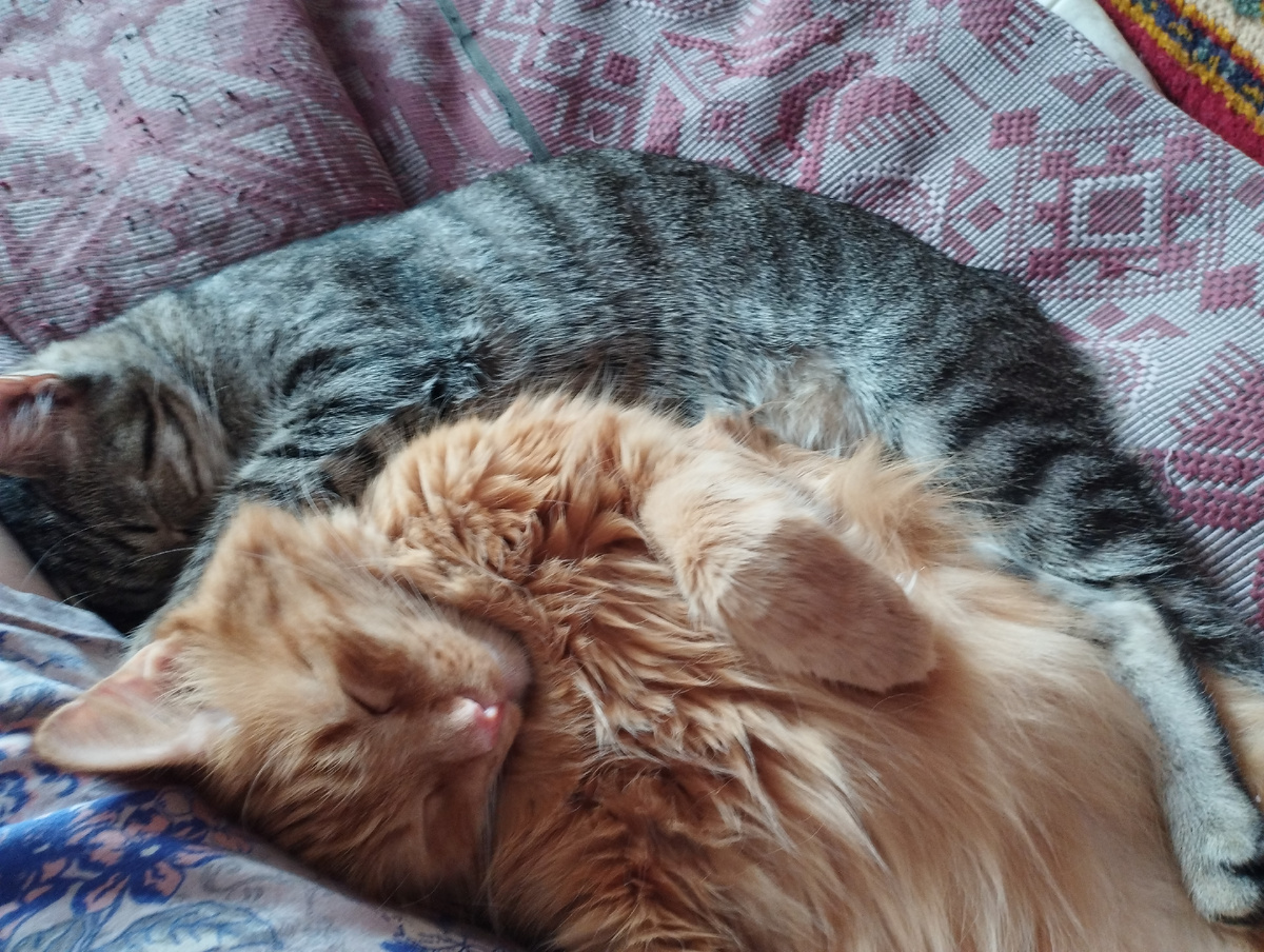 Это он задремал с Тасей. Ну чем не старший брат?