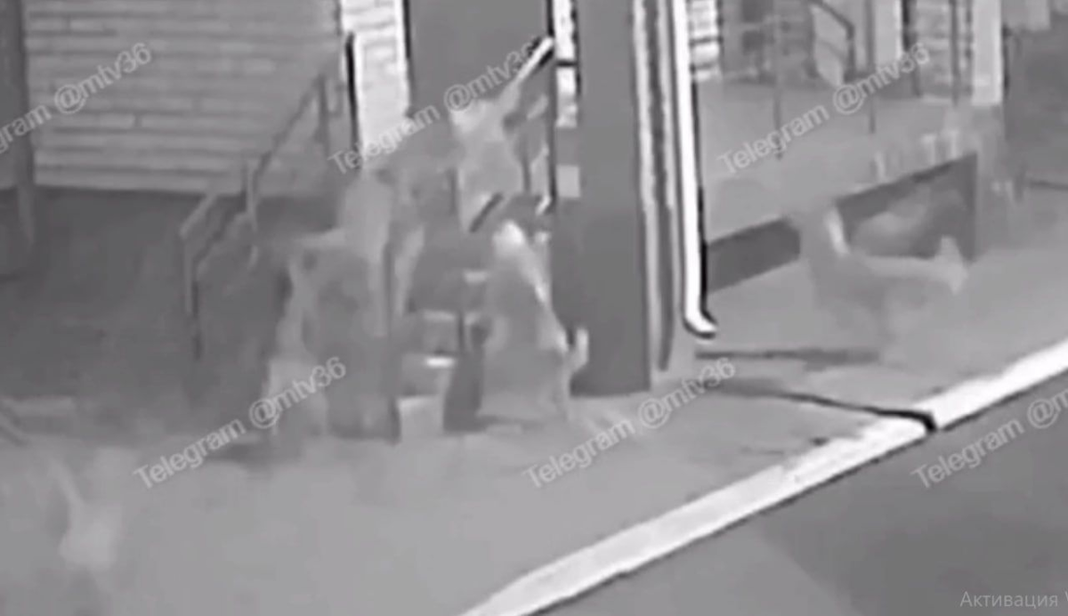 Фото — скришот видео