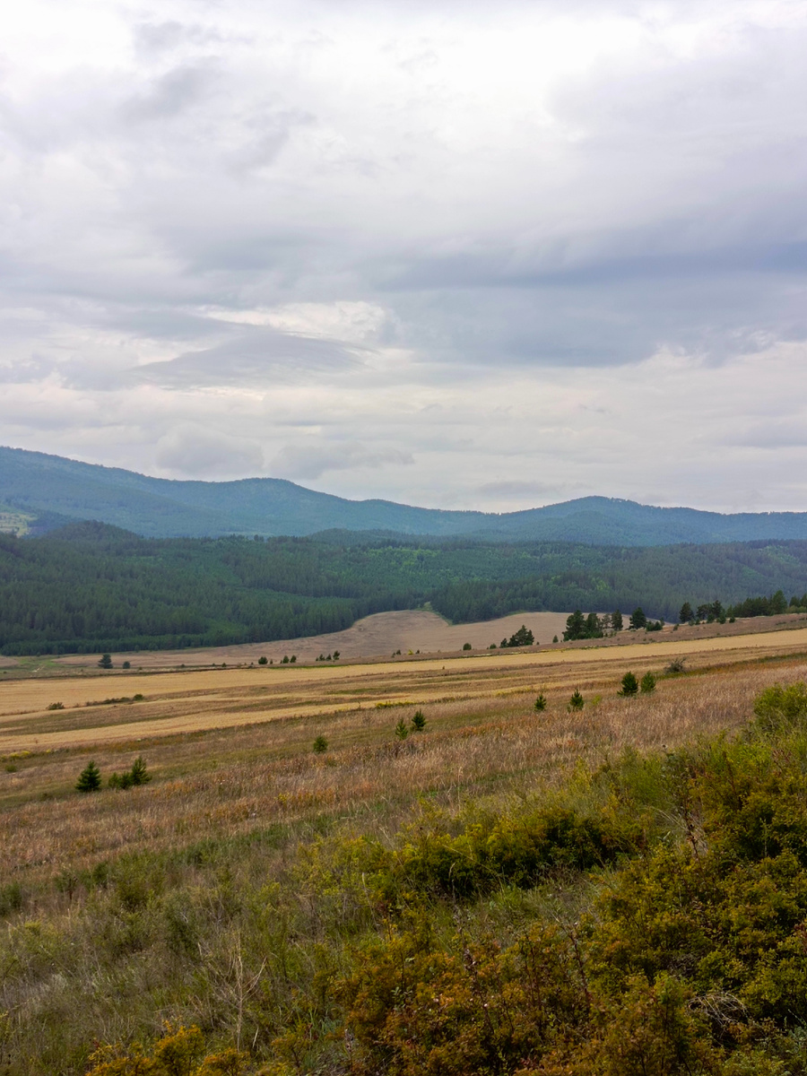 Фото автора.