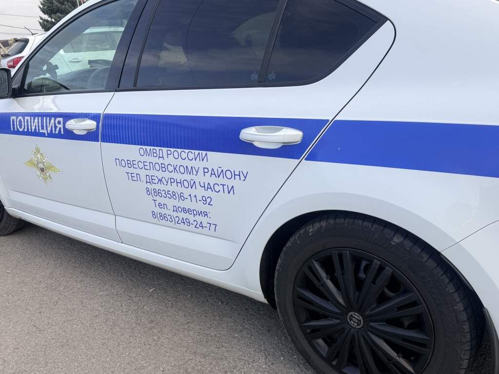    Фото: "Веселовские вести" Веселовские вести