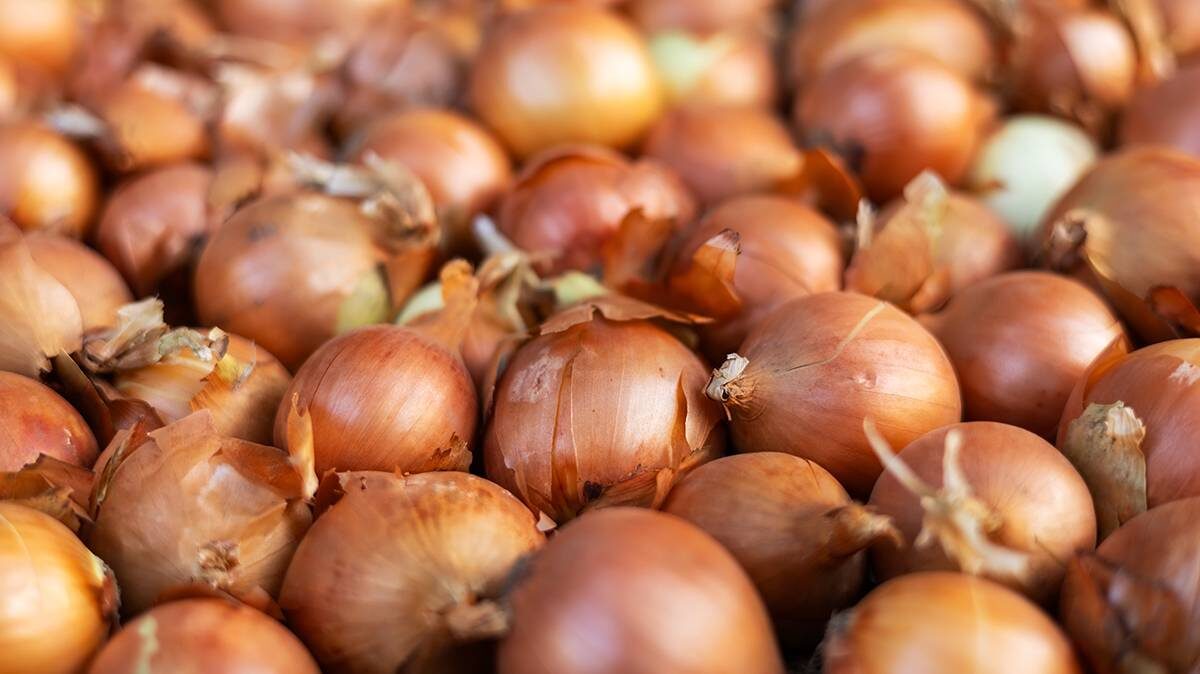    Фото: Shutterstock