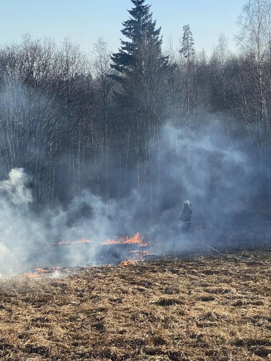    Государственный комитет Карелии по ОЖ и БН / ВК