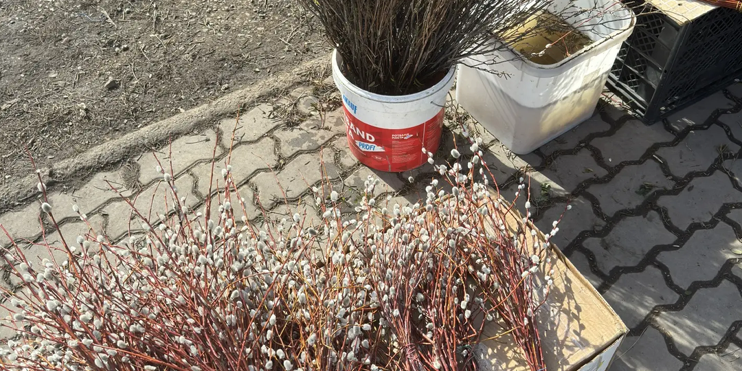 Живу на двадцать тысяч в месяц, расскажу как (реальные подсчеты из жизни в Красноярске.). Не слушайте экспертов из сети, они так не живут