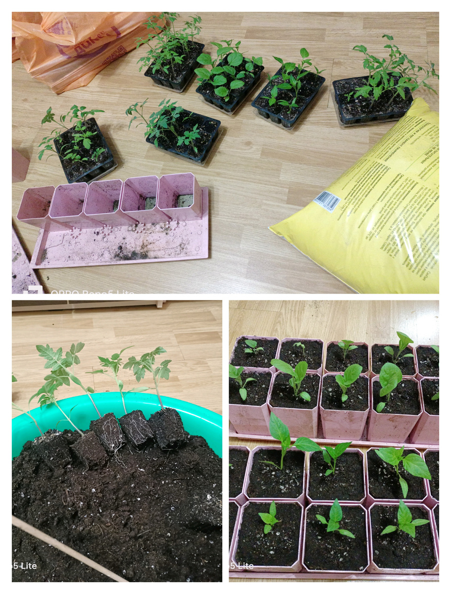 Процесс в действии