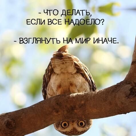 Фото из интернета.