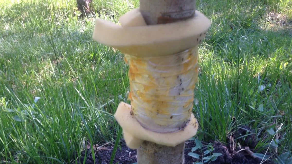 Ловчий пояс из поролона проще всего плотно привязать