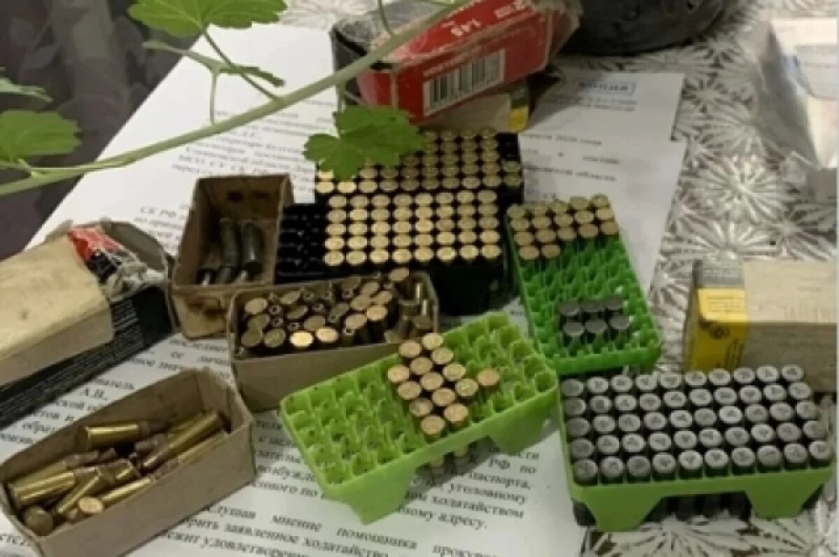    У жителя Инзенского района изъяли три винтовки, два ружья и 242 патрона