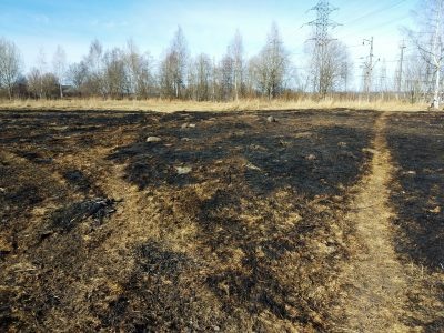    Фото: ГТРК Карелия