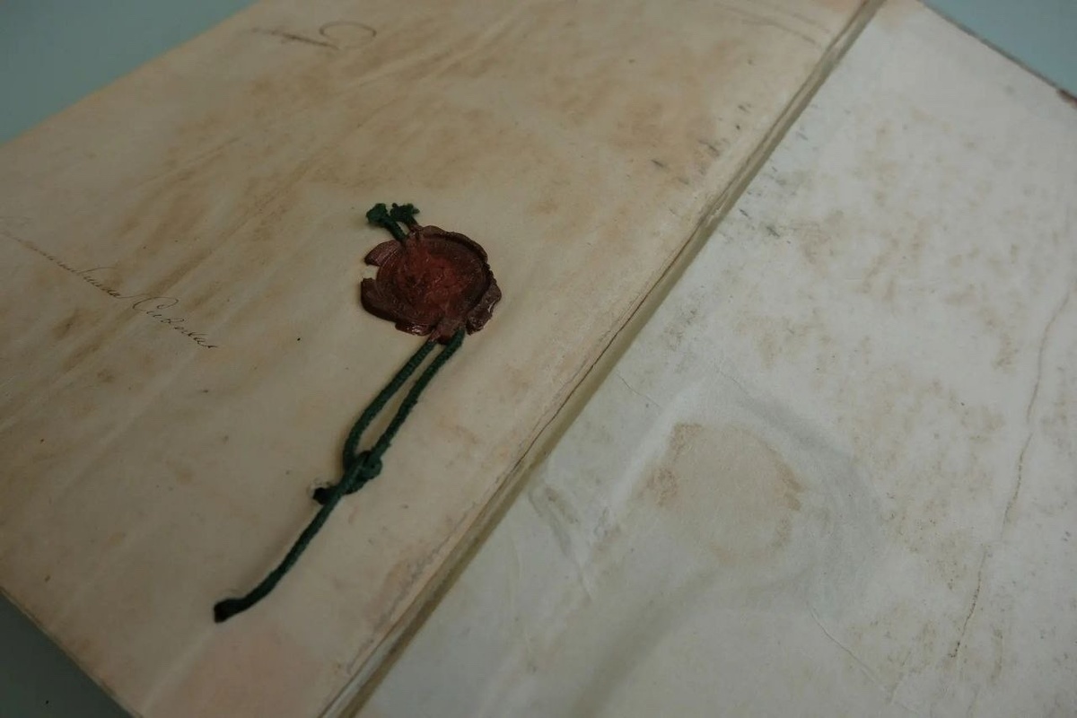 Фото: тг-канал Александра Дрозденко