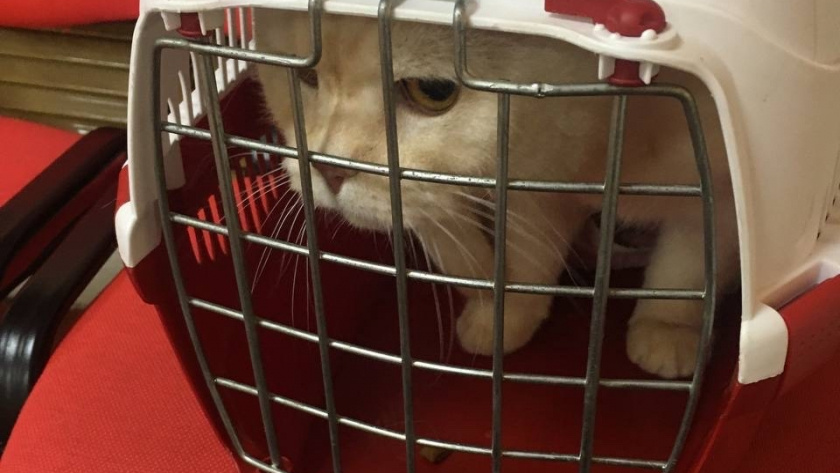    Фото из архива редакции