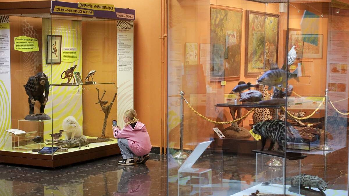    Фото: Артур Новосильцев / АГН Москва