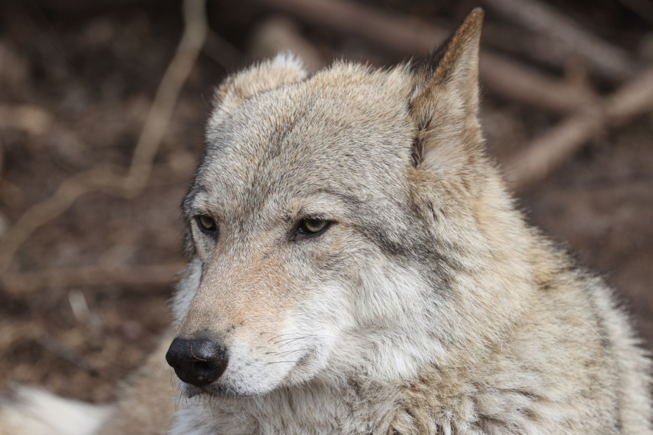   Сергей Булкин/NEWS.ru