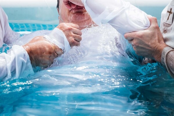 Mark Zhyhman/Shutterstock/FOTODOM   📷