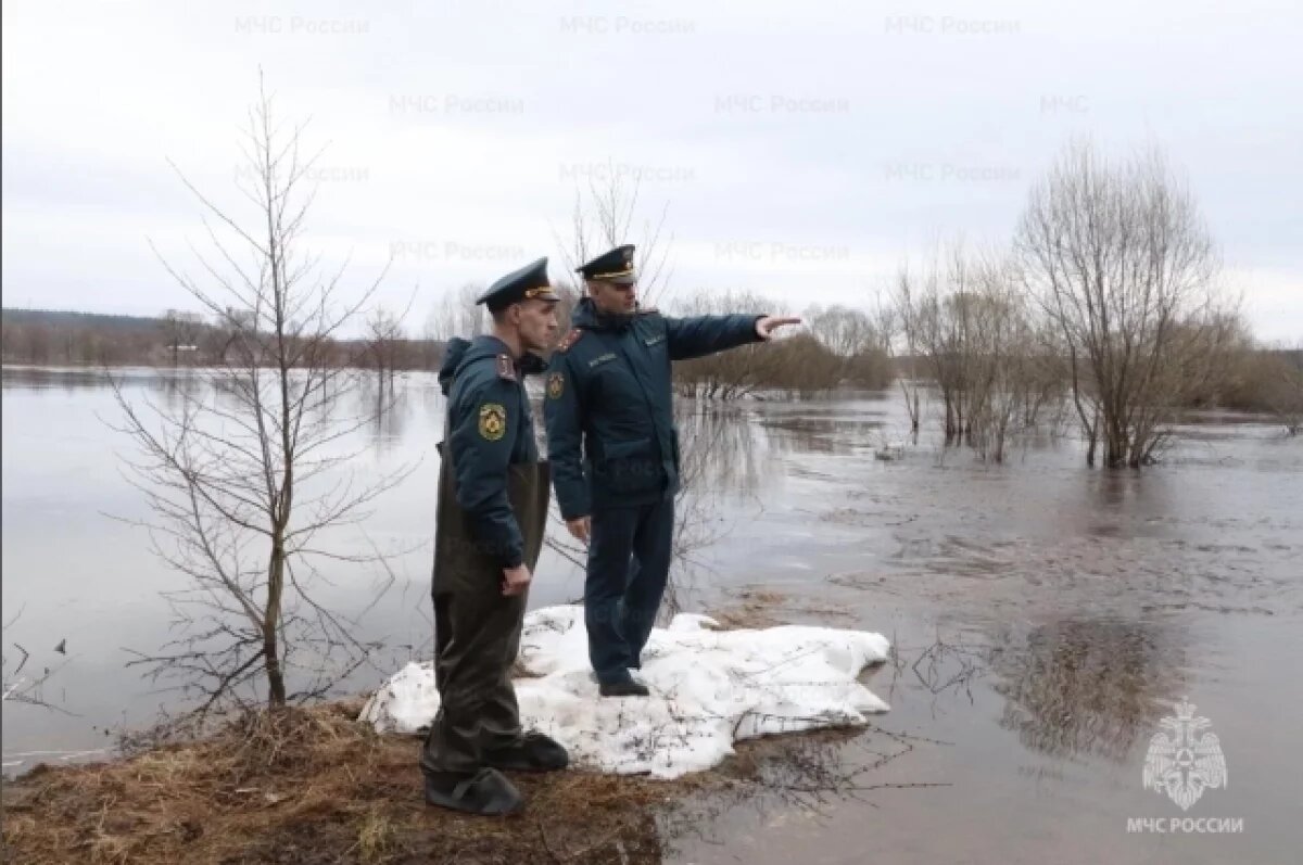    Паводок за сутки подтопил почти 400 приусадебных участка во Владимире