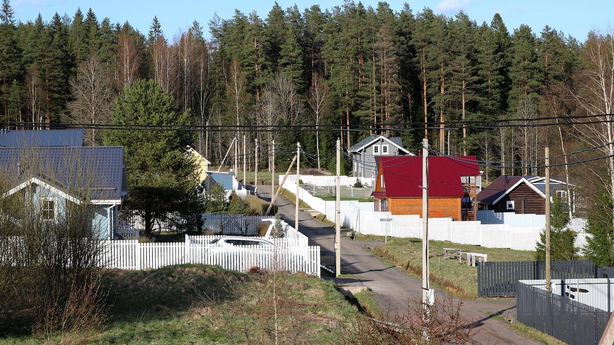    Фото: Maksim Konstantinov/globallookpress.com