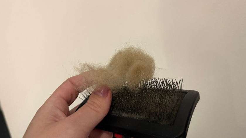    Фото progorod43.ru