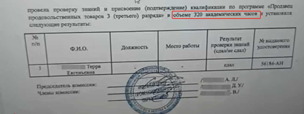 Фото из открытого источника - канала "Учимся с Алисой"