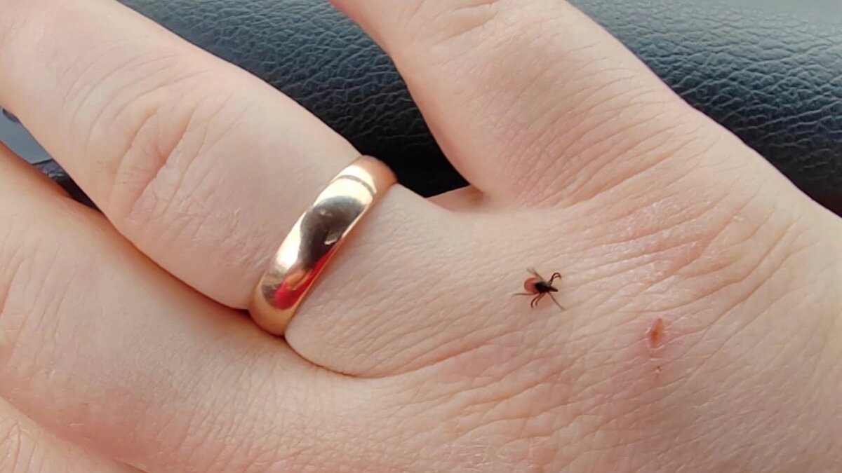    Архив редакции