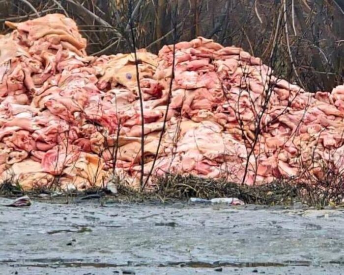 Иллюстрация: соцсети