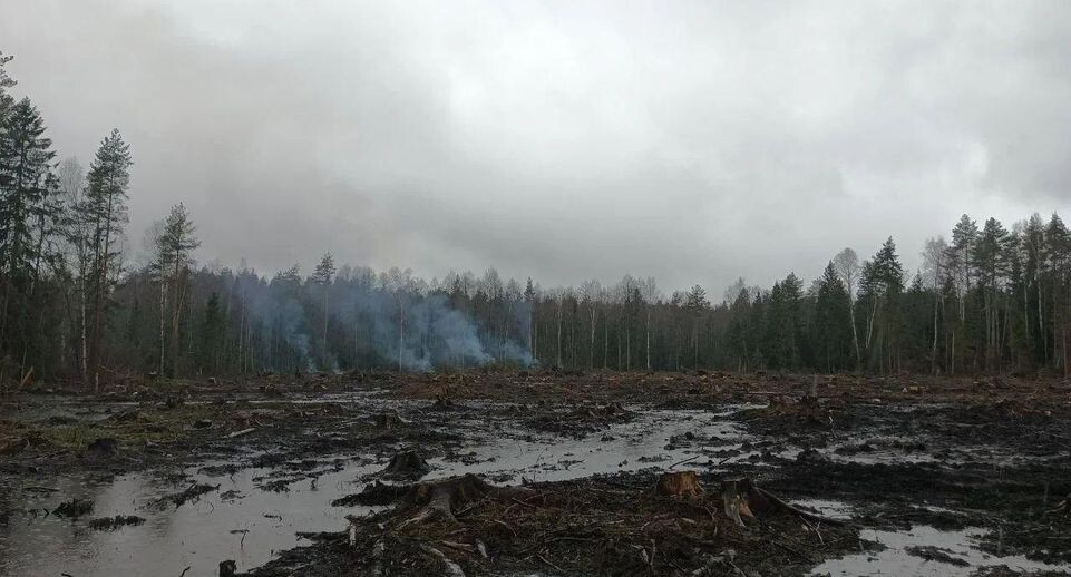    Комитет лесного хозяйства Московской области
