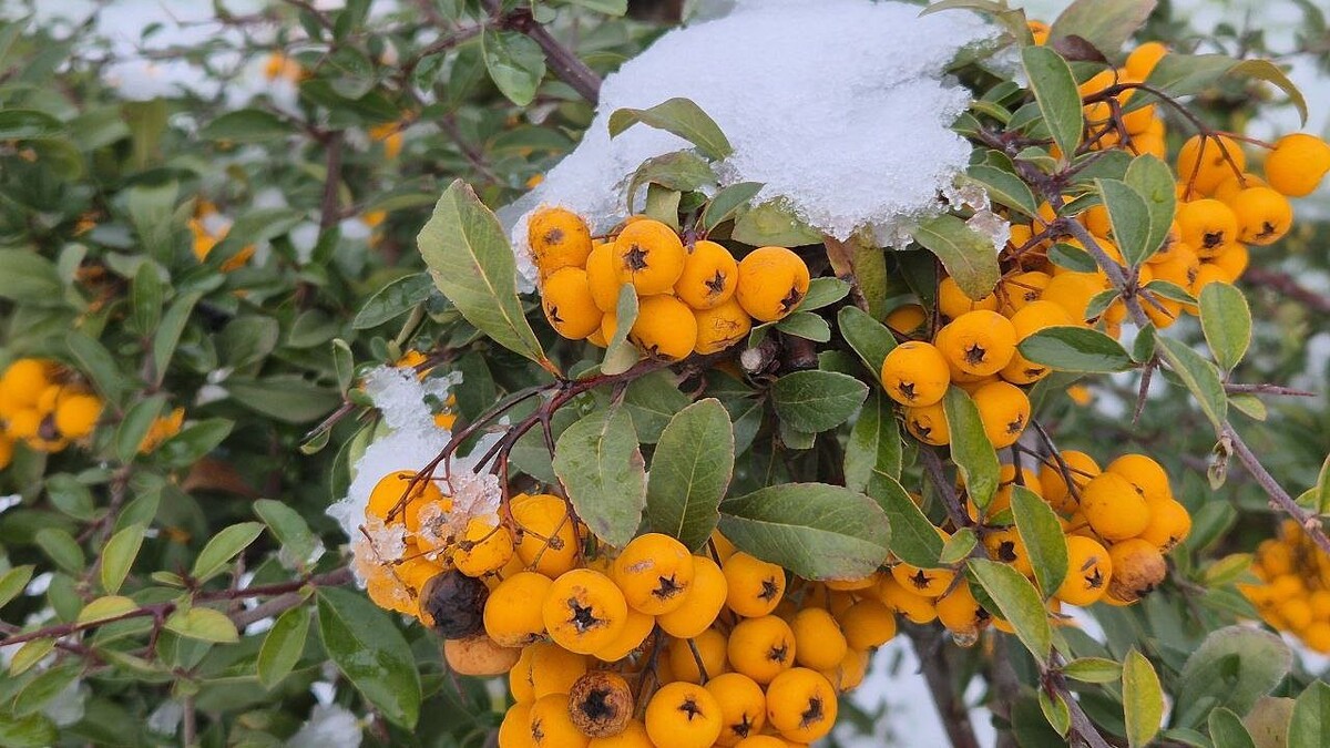    Фото: телеканал «Краснодар»