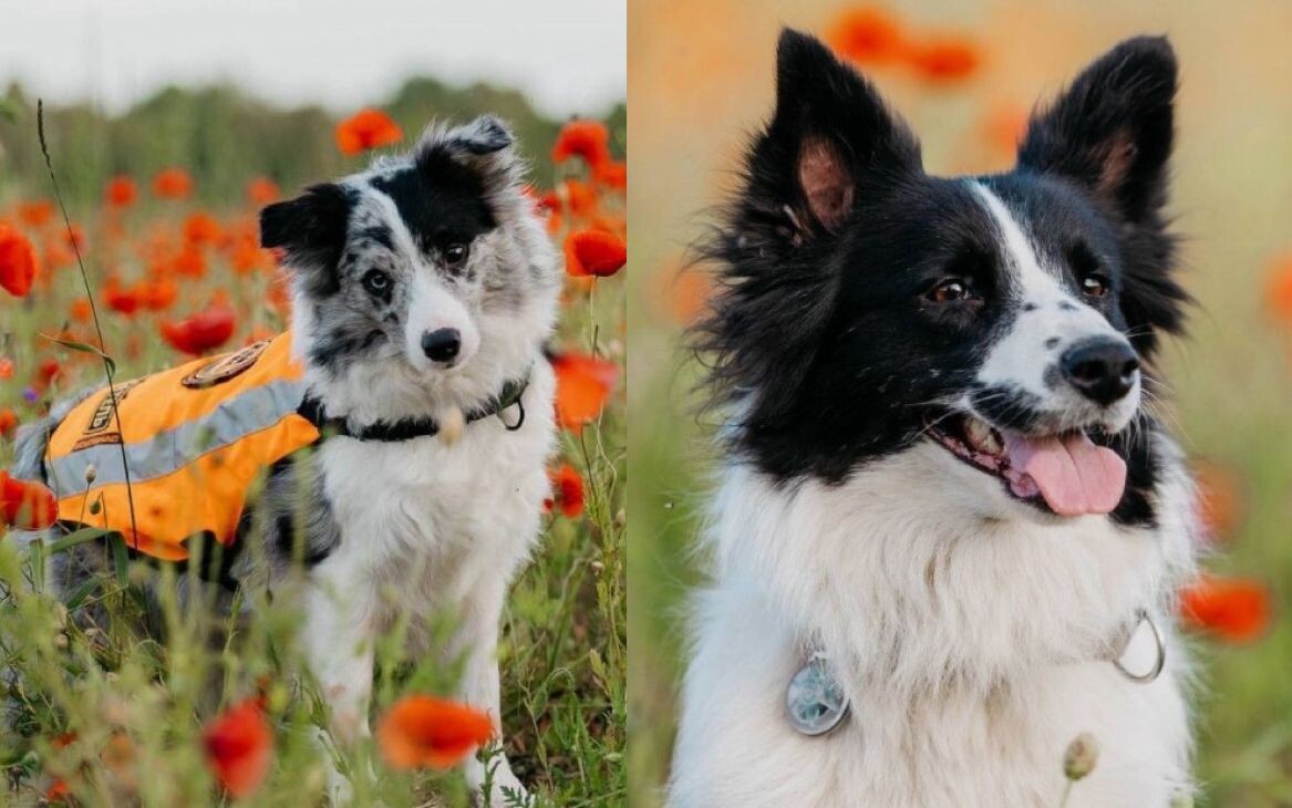    Бэсти и Люмена / Источник: Социальные сети