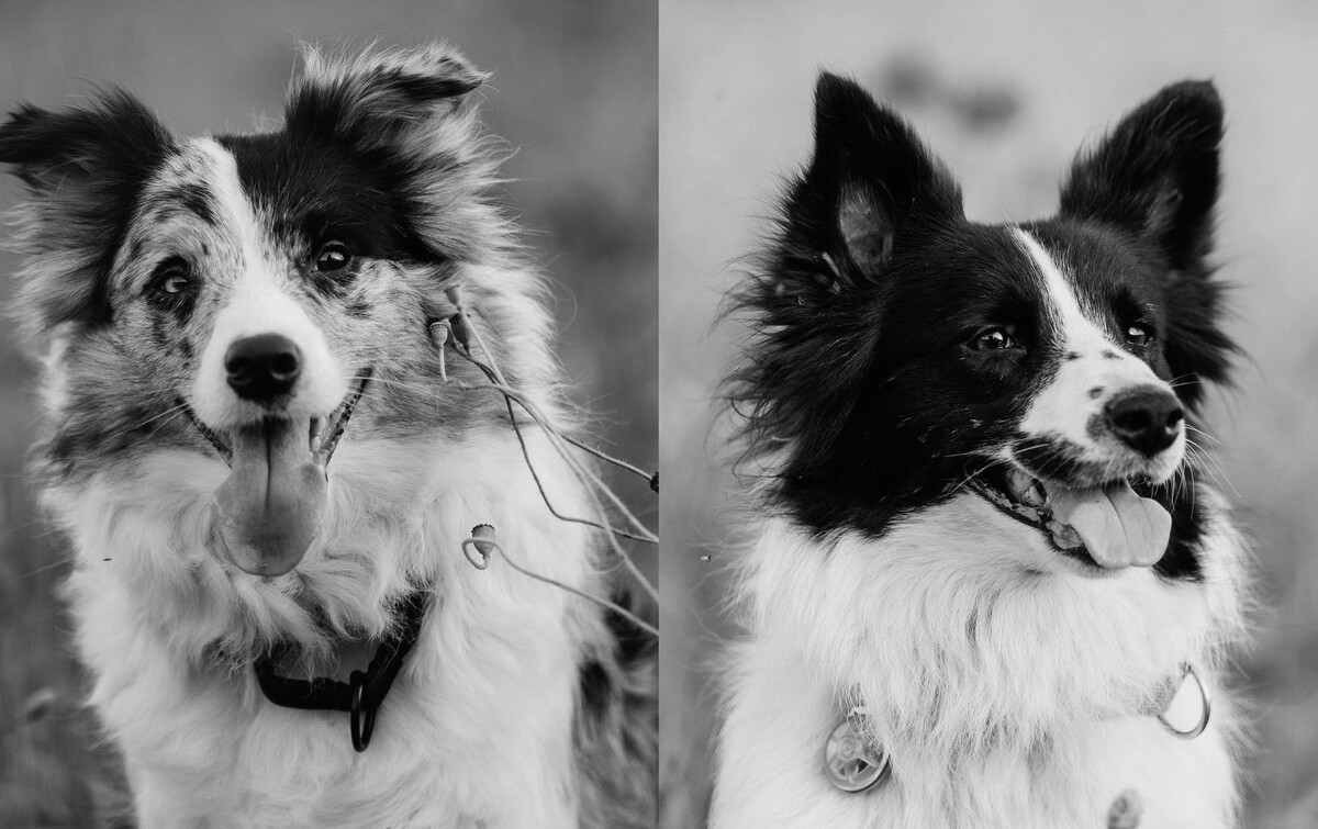     / Источник: Социальные сети