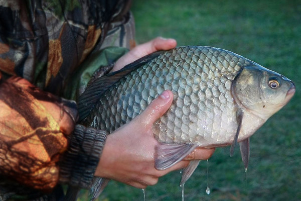 Сколько килограмм тут? Пишите в комментарии!