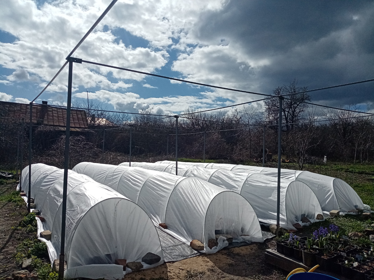 Спандбонд плотностью 60 идеален.