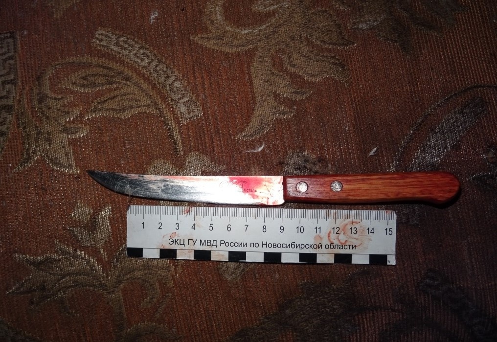    Фото: СУ СК НСО