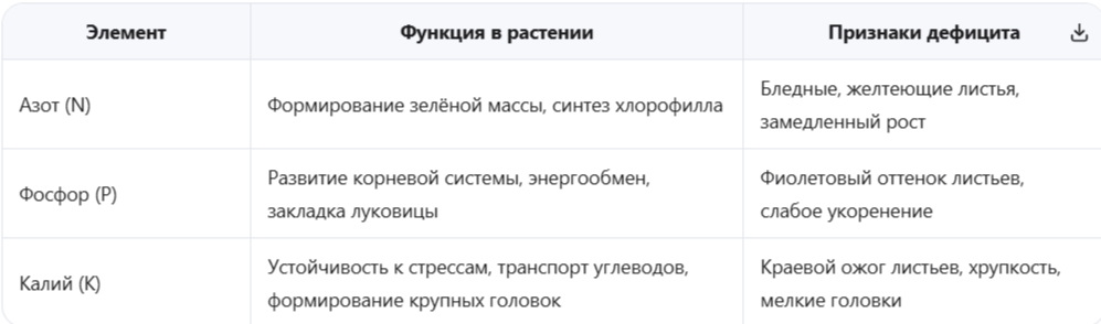 Физиологические потребности чеснока в весенний период