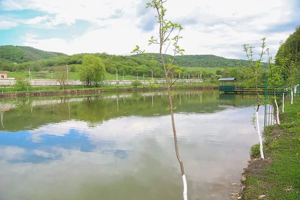    © Пресс-служба главы Ингушетии. Али Оздоев