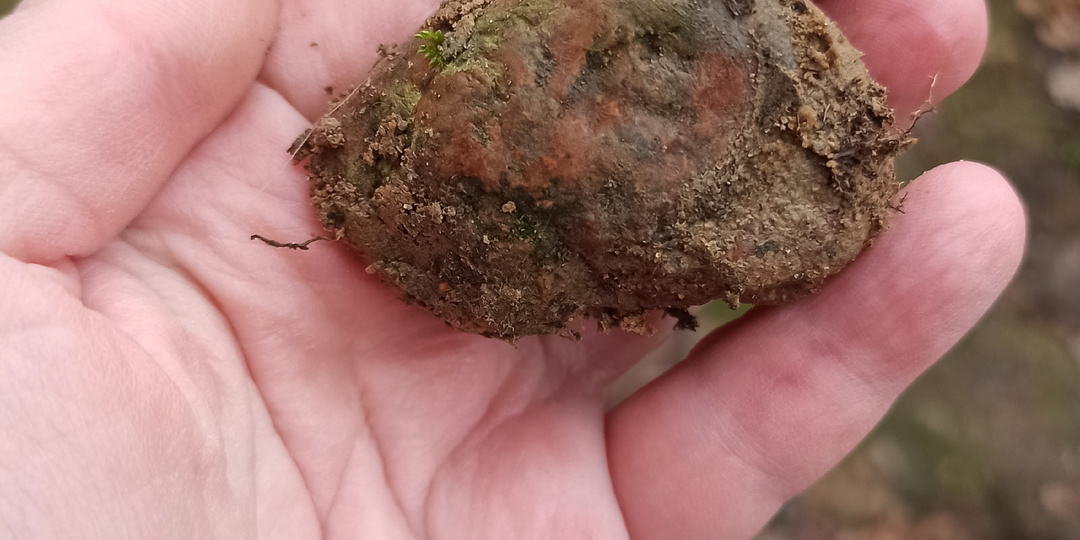 Камушки в земляных домиках