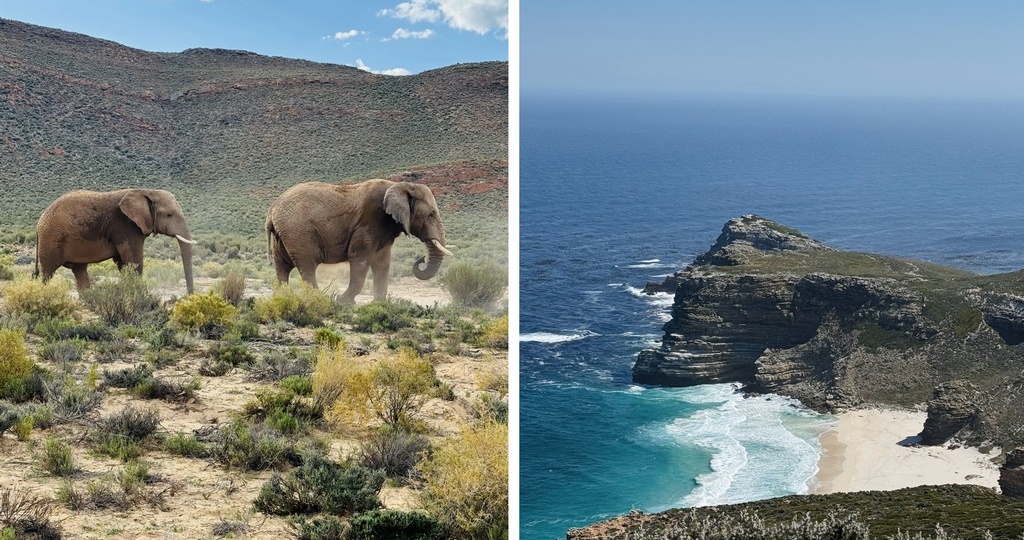 Отпуск в ЮАР: невероятное сафари, винодельни и океан