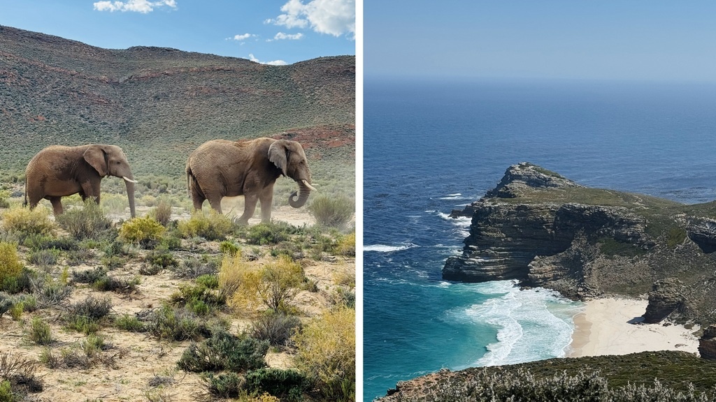 Фото предоставлено героиней статьи