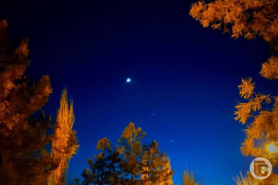    Фото: "Городские вести"