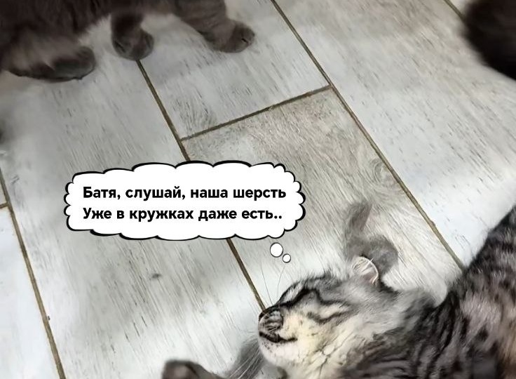 Комикс!