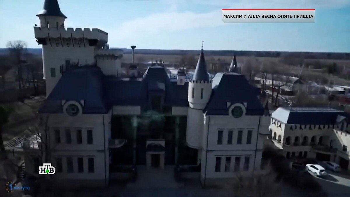    Пугачёва и Галкин хотят спасти свой подмосковный замок с помощью грязной схемы