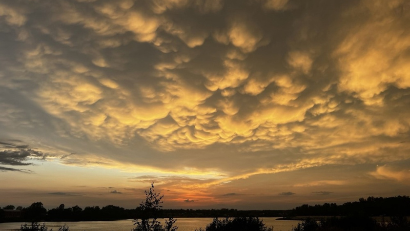    из архива редакции