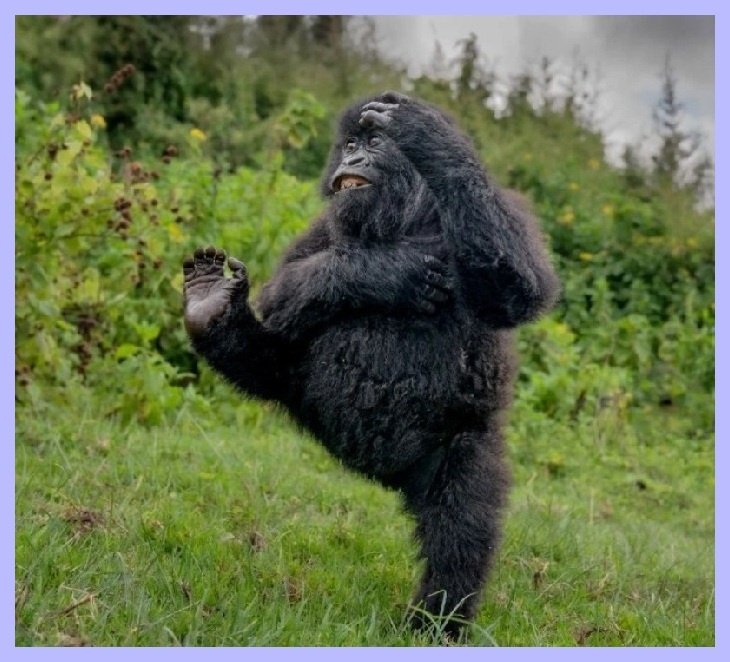 Дай пять, бро, только не падай!