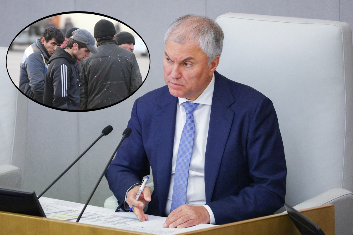 Автор фото: коллаж "ДП" (ТАСС). Председатель Госдумы РФ Вячеслав Володин.