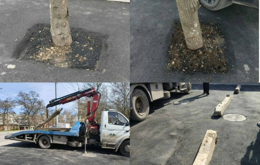 В Таганроге газон превратили в парковку — полиция ищет «умельцев»