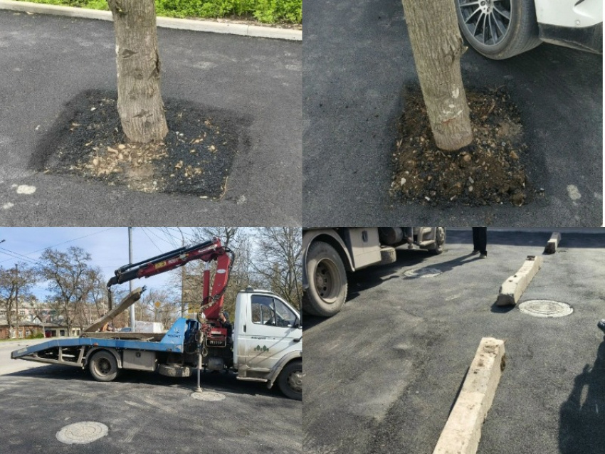 Фото: редакционный коллаж «Блокнот. Таганрог"/vk.com/blagotaganrog