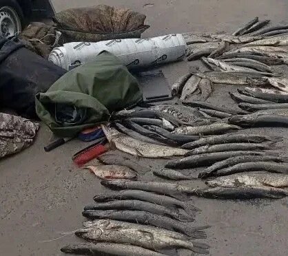     © фото - УМВД России по Курской области