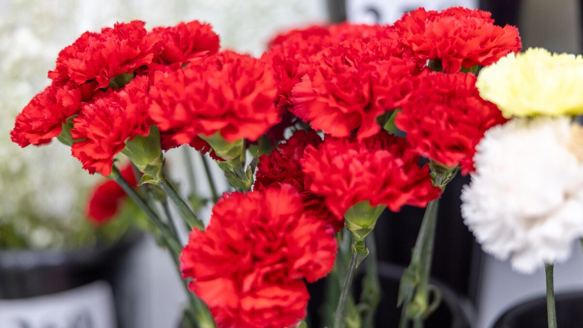    Фото: Федор Воронов / «Ямал-Медиа»