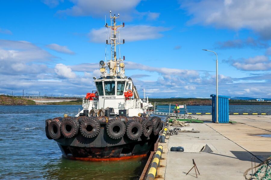     / Источник: © Юрий Смитюк/ТАСС