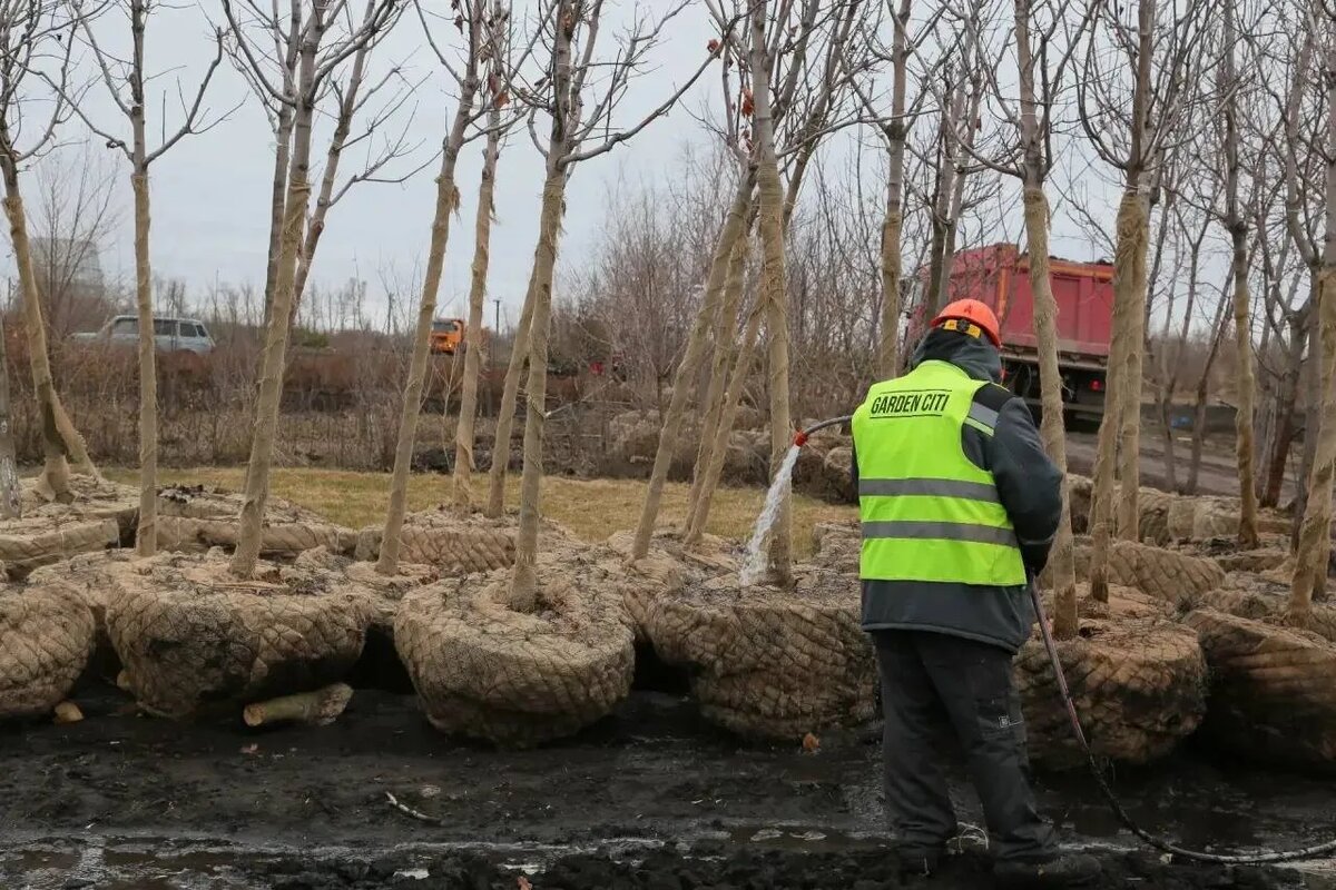 Фото: соц.сети мэра Омска Сергея Шелеста