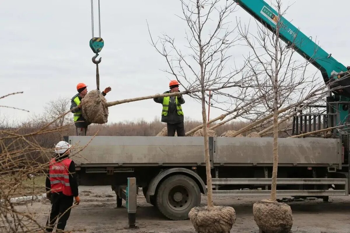 Фото: соц.сети мэра Омска Сергея Шелеста