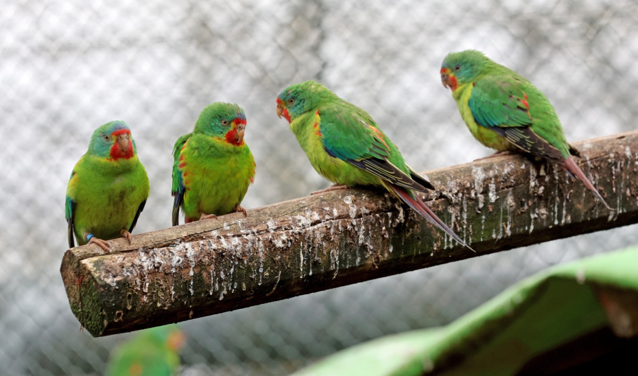    Bernd Wüstneck/dpa/Global Look Press